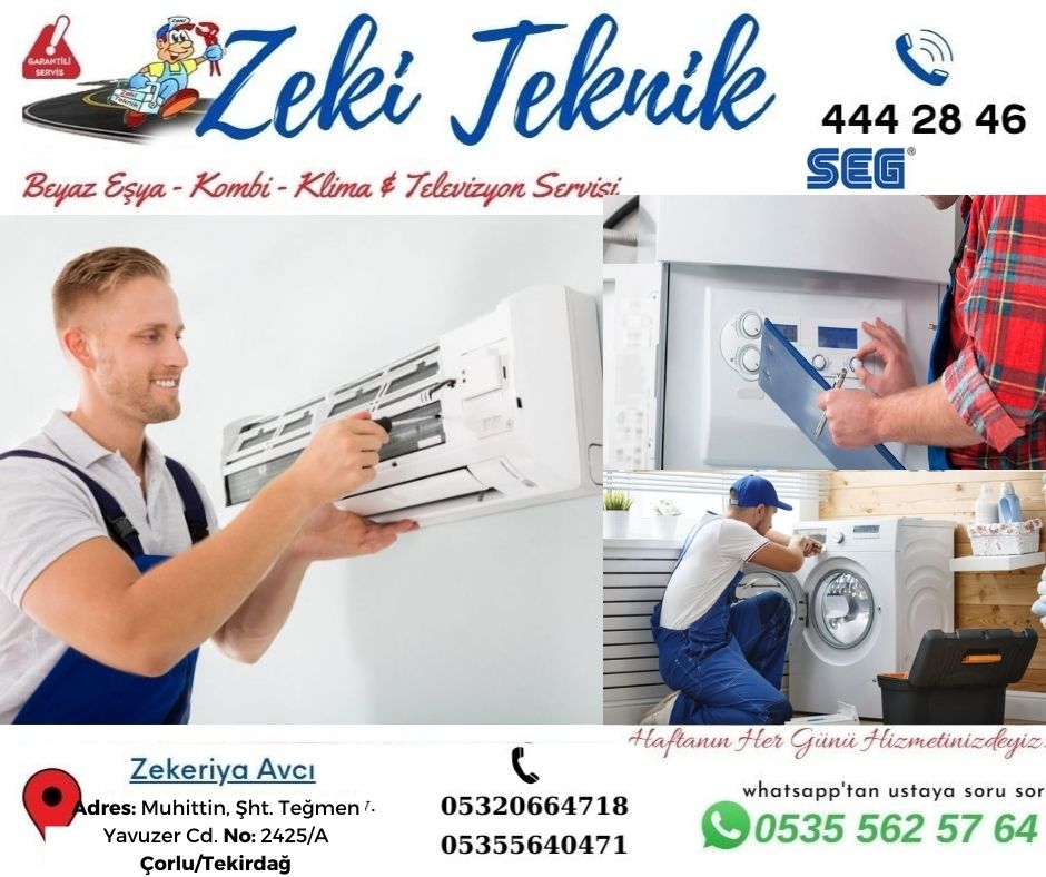 Çorlu SEG Servisi